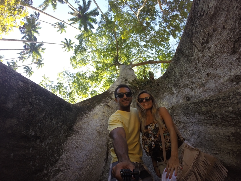 Jardim Botânico do Rio de Janeiro