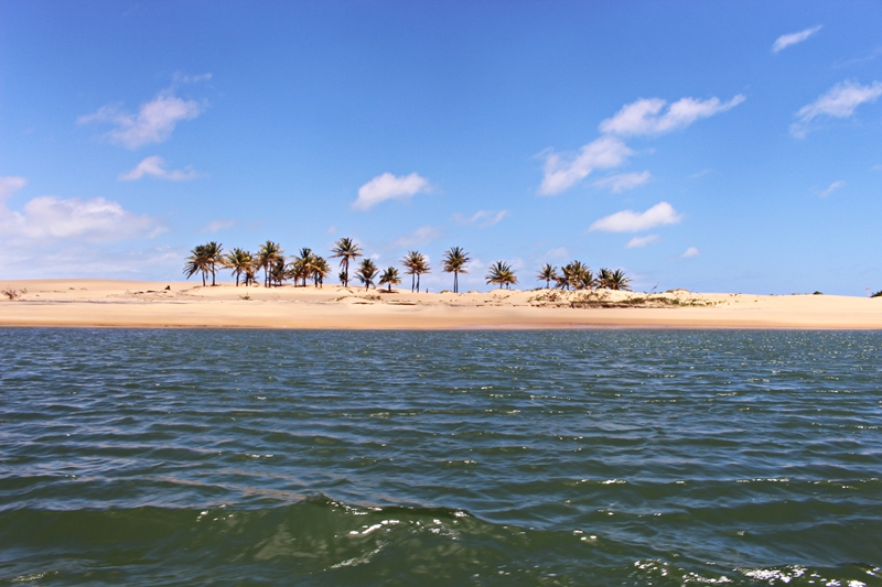 O que fazer em Alagoas