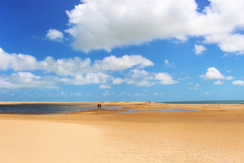 O que fazer em Alagoas