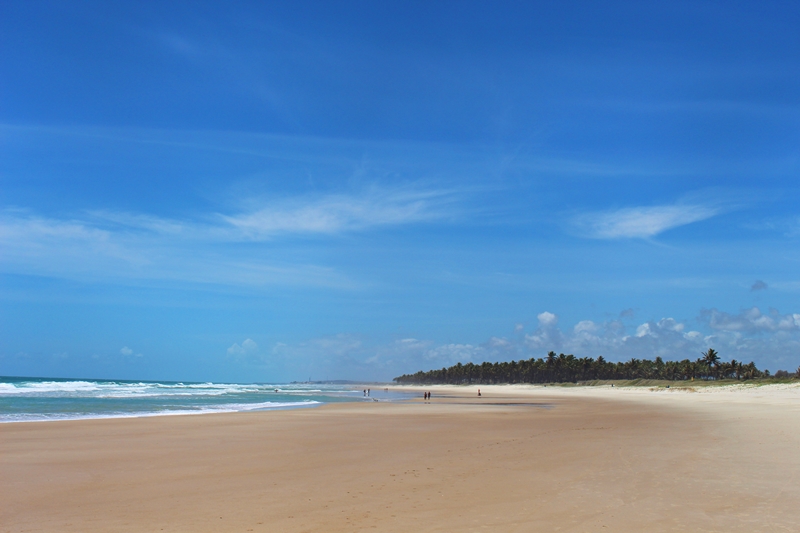 O que fazer em Alagoas