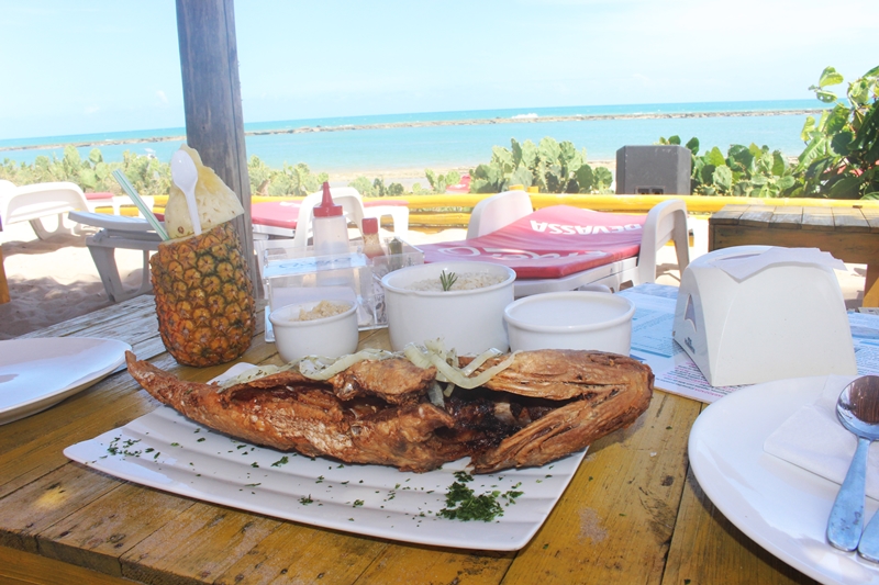 O que fazer em Alagoas