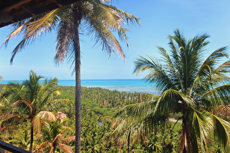 O que fazer em Alagoas