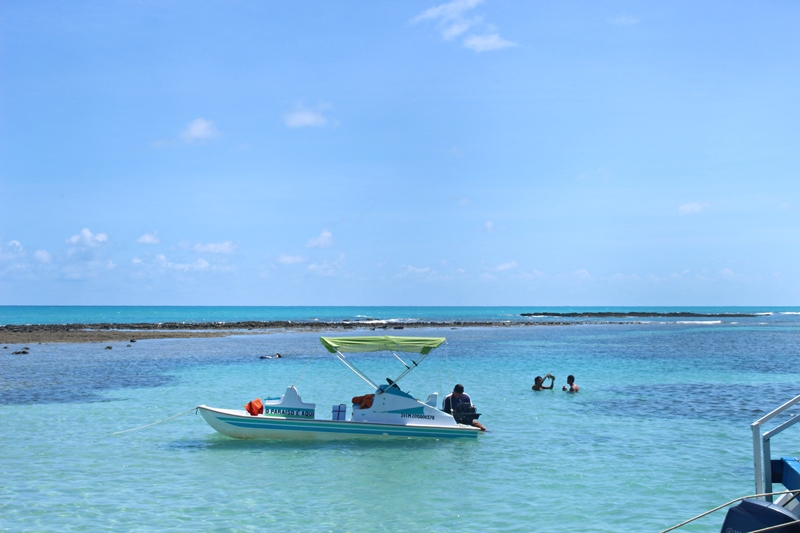 O que fazer em Alagoas