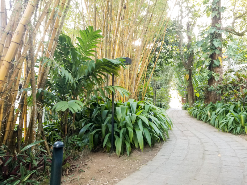 Empório Jardim Rio - IMS