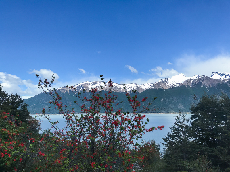 Como Ir ao Glaciar Perito Moreno