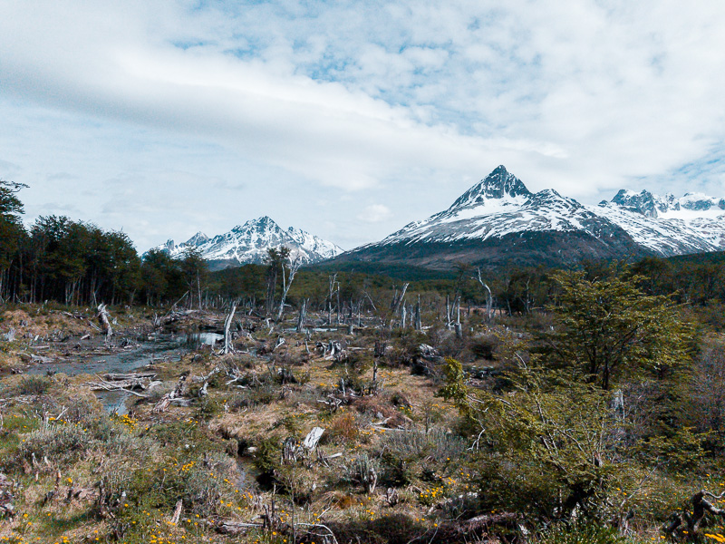 Trekking Laguna Esmeralda